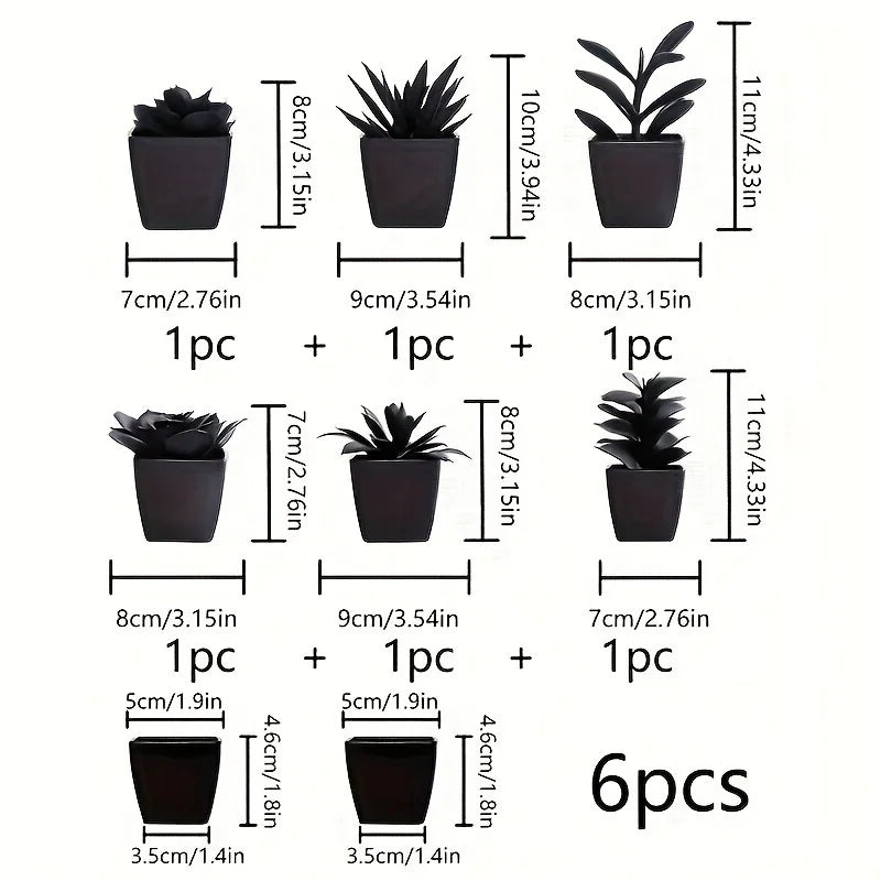 Conjunto de 6 Plantas Negras para Decoración Moderna