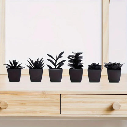 Conjunto de 6 Plantas Negras para Decoración Moderna