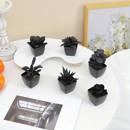 Conjunto de 6 Plantas Negras para Decoración Moderna