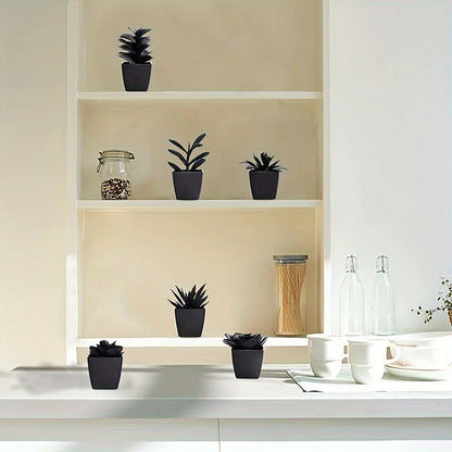 Conjunto de 6 Plantas Negras para Decoración Moderna