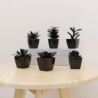 Conjunto de 6 Plantas Negras para Decoración Moderna