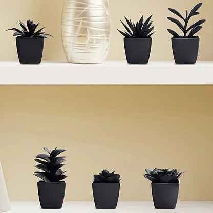 Conjunto de 6 Plantas Negras para Decoración Moderna