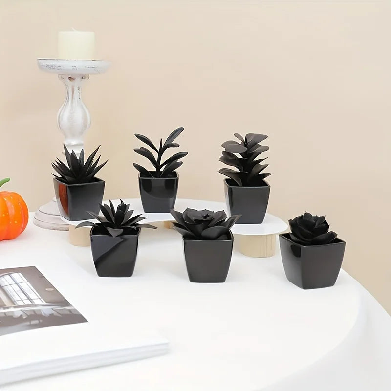 Conjunto de 6 Plantas Negras para Decoración Moderna